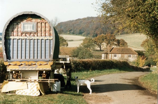 HWS56065