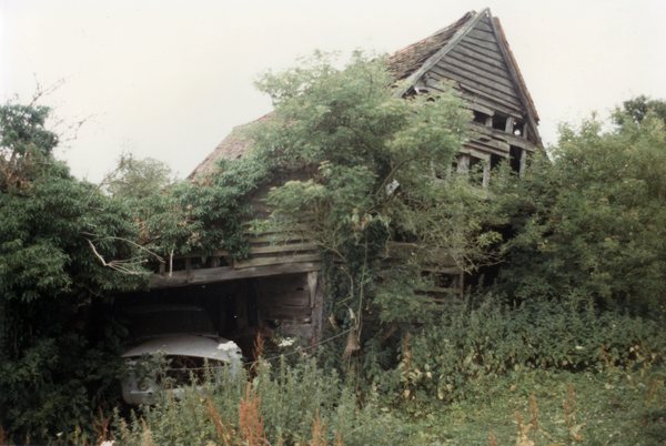 HWS56086